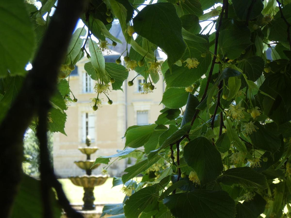 Hotel Chateau Marith - Etablissement Climatise Avec Piscine Clairac  Exterior foto