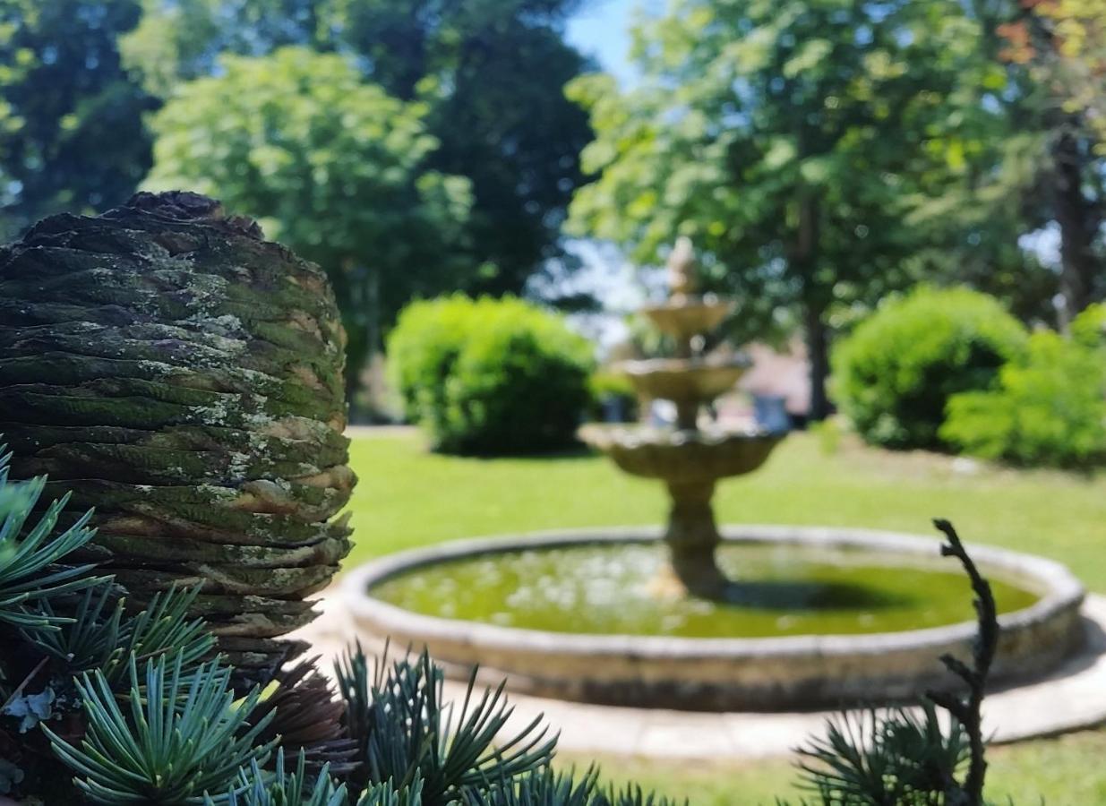 Hotel Chateau Marith - Etablissement Climatise Avec Piscine Clairac  Exterior foto